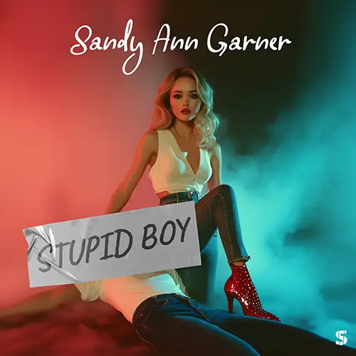 Cover Stupid Boy